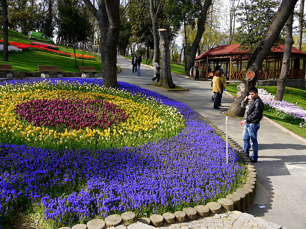 The tulip time in Istanbul
